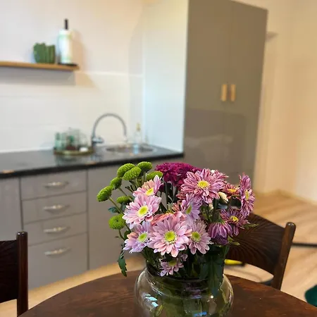 Stare Sobieski * Nowy Sącz